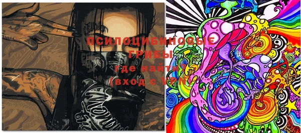 ECSTASY Каменка