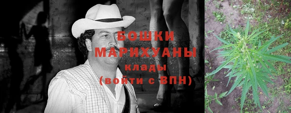 ECSTASY Каменка