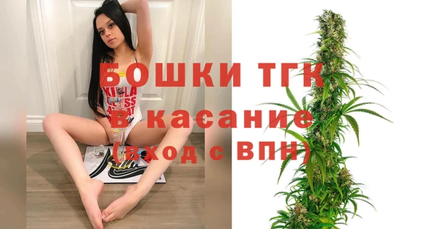 ECSTASY Каменка