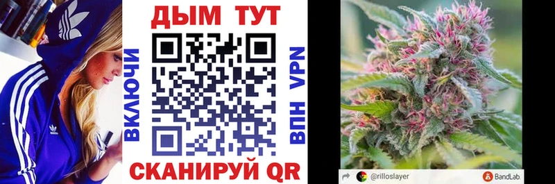 Бошки Шишки Amnesia  Купить  Зея 